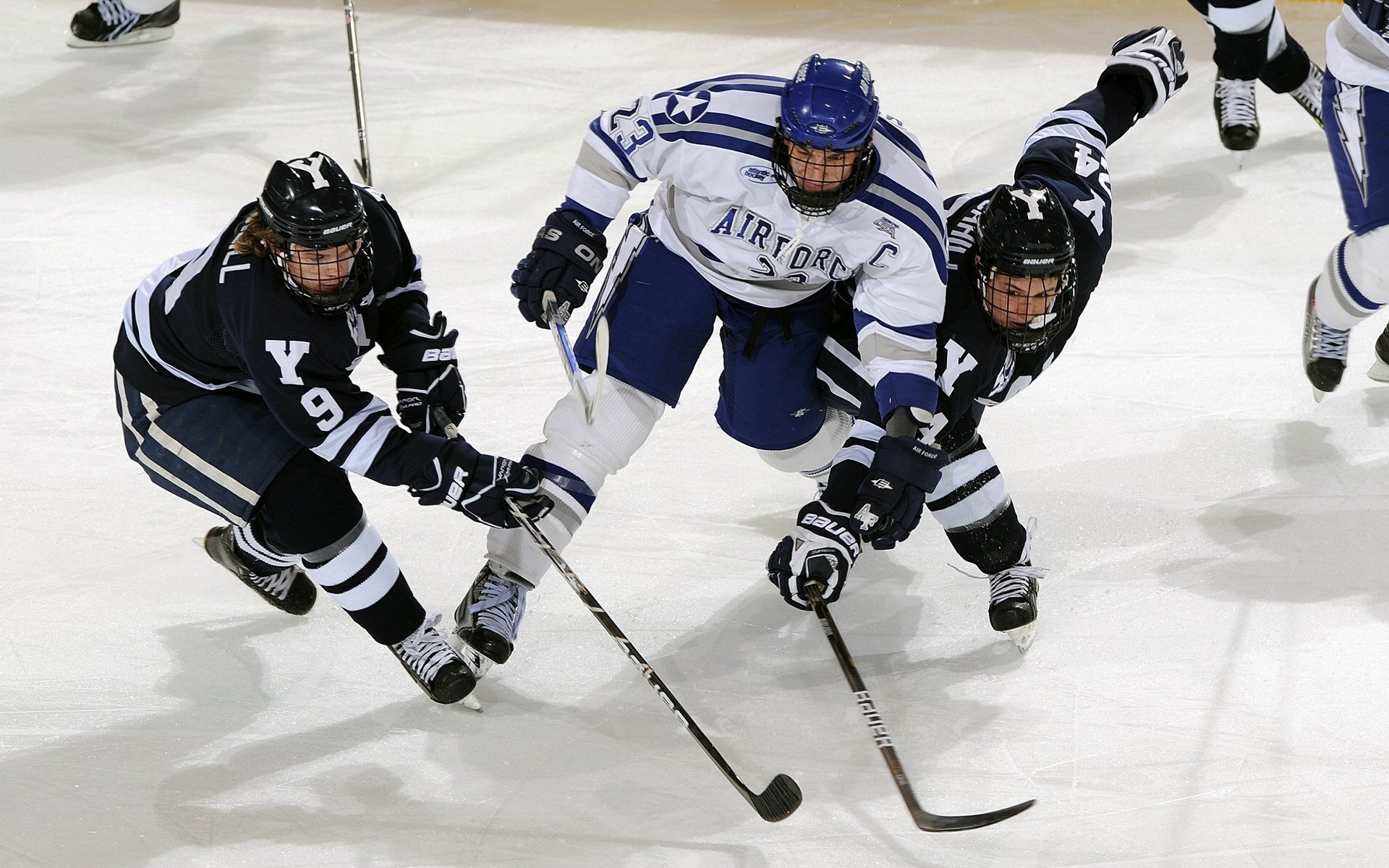 明星皇牌：本季最火爆的球员全名单，2021年最火的球星